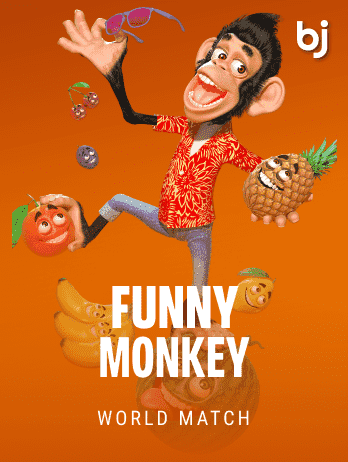 Funny Monkey